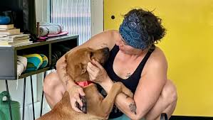 Fundraiser by Daylene Christensen : Support Odin's Journey to a Loving Home