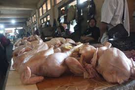 Kami yang bertempat di kampung sg buah luar ,43800 dengkil selangor, berdekatan southville city. Harga Daging Ayam Naik Itik Di Buru