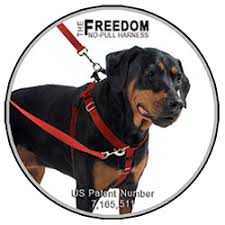 Freedom No Pull Dog Harness Purchase Direct From The