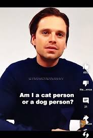 Is Sebastian Stan a cat person or a dog person?