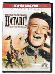 In Amore E In Guerra (DVD) Wagner Wynter Hunter Lange Dillman (UK IMPORT)