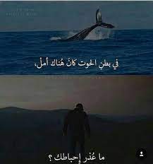 رضوتي العنيده funny arabic quotes beautiful arabic words arabic quotes