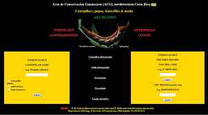 We did not find results for: Minimalist Revision And Description Of 403 New Species In 11 Subfamilies Of Costa Rican Braconid Parasitoid Wasps Including Host Records For 219 Species
