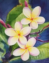 Plumeria Original Watercolor Painting Tropical Flower Painting Hawaiian Flowe Plumeria Original Waterco In 2020 Flower Painting Flower Drawing Hawaiian Flower Drawing