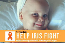 Fundraiser for Samantha Nowicki by Mara Zierow- Benson : Help Iris Fight