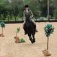 Working Equitation Camp (June) event image