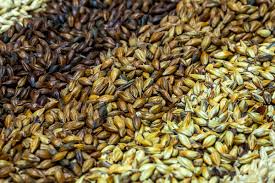 Specialty Malt