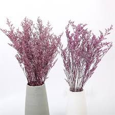 Buy dried flowers and get the best deals at the lowest prices on ebay! Dried Flowers Accessories For Graduation Card Decor Gift Natural Limonium Statice Preserved Lover Grass Desmodium Gyrans Buy Desmodium Gyrans Flowers Preserved Gyrans Flowers Preserved Lover Grass Product On Alibaba Com
