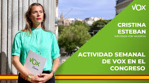 Ahora puede seleccionar cualquiera de nuestras provincias activas. Vox Se Queda Solo Ante El Consenso Progre Defendiendo Las Fronteras De Espana Youtube