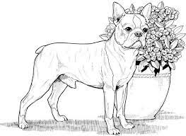 Detailed illustrations for adults to color in! Dog Coloring Pages For Adults Best Coloring Pages For Kids