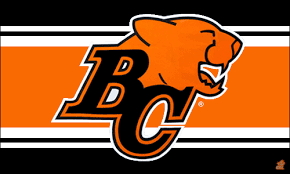 Statistics are updated at the end of Bc Lions Flags Cfl Sports Flags