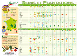 Epingle Sur Jardinage