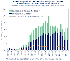 species atlantic states marine fisheries commission