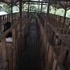 Setiap jenis kandang kambing atas tanah mempunyai kekurangan dan kelebihan tersendiri. 1