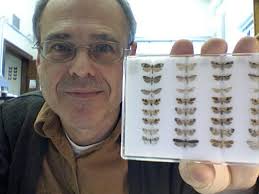 International Network of Gelechioid Aficionados