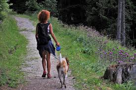 Check spelling or type a new query. Lesson 7 Teaching Your Dog To Heel Dog Teaching Tips