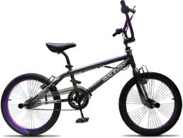 Raleigh Product Categories Online Bicycles Page 2 Bmx Specialized Bmx Raleigh Bicycle
