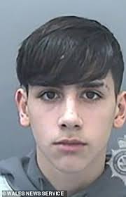 Meet the new ASBO Kids: The baby-faced members of 'Young and Deadly' gang  aged 13 to 17