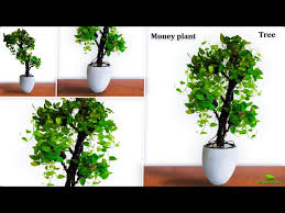 We did not find results for: Most Attractive Hanging Garden Idea To Beautify Your Home How To Make Hanging Garden Green Plants Litetube