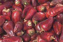 The red savina pepper is a cultivar of the habanero chili (capsicum chinense jacquin), which has been selectively bred to produce spicier, heavier, and larger fruit, ultimately more potent than its derivative. Facing Heaven Pepper Wikipedia