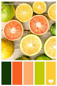 Citrus Color Palette Lemons Limes Grapefruit Color Palette Yellow Orange Color Palettes Green Colour Palette