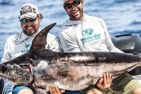Check spelling or type a new query. How To Store Your Fish Mossy Oak