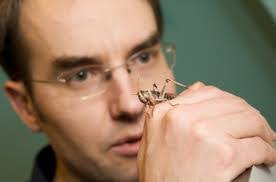 Rhythmic Bursts of Electrical Activity from Cells in Ear Teach Brain How To  Hear