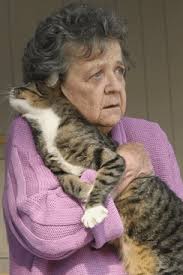 Is it possible that if Lynette hadn't been stubborn and had taken her  entire family to a shelter during the Tornado episode, there's a chance  that Karen, Ida, and the cat would