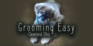 Check out our cleveland photography selection for the very best in unique or custom, handmade pieces from our photography shops. Grooming Easy Home Facebook