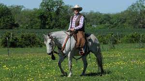 How To Be A Good Rider - Saddle Up Again - Riders In Midlife And Beyond