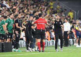 Eski hakemler Fenerbahçe'ye verilen penaltıyı değerlendirdi: Bu nasıl penaltıdır... — Haber 7