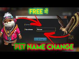 Free fire is one of the most popular mobile battle royale titles in the world. How To Change Pet Name On Freefire 2021 Pet Name Change à¤• à¤¸ à¤•à¤° Youtube