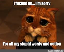 Meme I Fucked Up I M Sorry For All My Stupid Words And Action All Templates Meme Arsenal Com