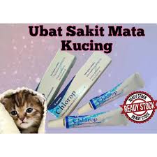 Selanjutnya, sakit mata pada kucing dapat bervariasi karena dapat terinfeksi bakteri, virus, cacing mata, debu, alergi atau tumor. Ubat Sakit Mata Kucing Shopee Malaysia