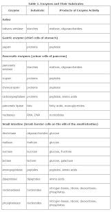 Digestive Enzymes Enzymes Biology Biochemistry Notes Nursing Notes