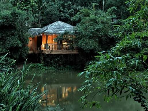 Kerala wildlife