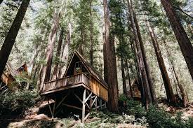 Santa Cruz Wedding Venues Where To Get Married In And Around Santa Cruz California Forest Wedding Venue Redwood Forest Wedding California Wedding Venues