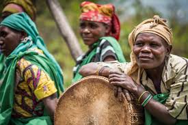 Image result for Aframomum mildbraedii