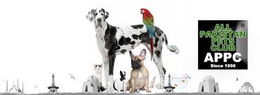 On the street of queen street and street number is 405. All Pakistan Pets Club Appc Posts Facebook