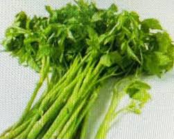 Minari korean dropwort water hemlock death maggie visits food parsley herb well tag bahrain news: Sun Min Kimes S Tweet Minari Is A Vegetable Very Close To Parsley It Is Used In Salads Or Added To Kimchi For A Distinctive Flavor It Is A Very Resilient Plant