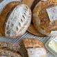 Fall Focaccia Picnic event image
