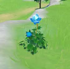Collect mist flower corolla from beside the water (0/4). Mist Flower Corolla Genshin Impact Wiki Fandom
