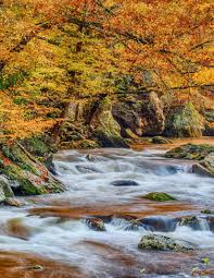 Lonnie Poore Obituary (1970