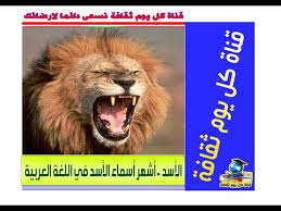 الأسد أشهر أسماء الأسد في اللغة العربية وبعض منها Youtube