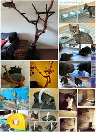 This will help it follow the circular form better. 20 Purrfect Diy Projects For Cat Owners Diy Crafts