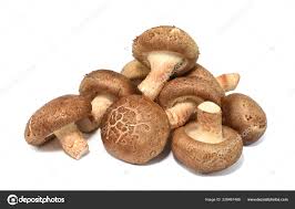 Image result for Lentinus edodes