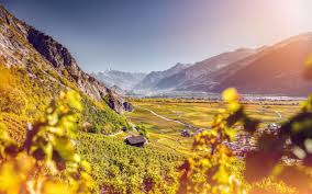 Sommer mit weitblick im mühlviertel in oberösterreich. Schweiz Tourismus Setzt Im Herbst Auf Weintourismus Htr Ch