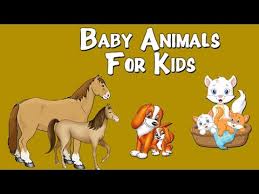 Learn vocabulary, terms and more with flashcards, games and other study tools. Baby Animals For Kids Animals And Their Young Ones Preschool Learning Videos For Kids Youtube