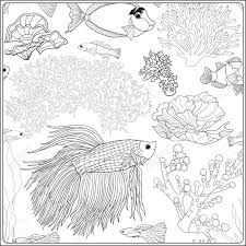 Muster Mit Dekorativen Korallen Und Meer Oder Aquarienfische Vektor Illustration Malbuch Fur Erwachsene Und Altere Kinder Skizzieren Malvorlagen Zeichnung Lizenzfrei Nutzbare Vektorgrafiken Clip Arts Illustrationen Image 62951956