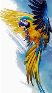 Pin By Liny On Beautiful Pictures Animals Disney Animal Kingdom Lodge Animal Drawings